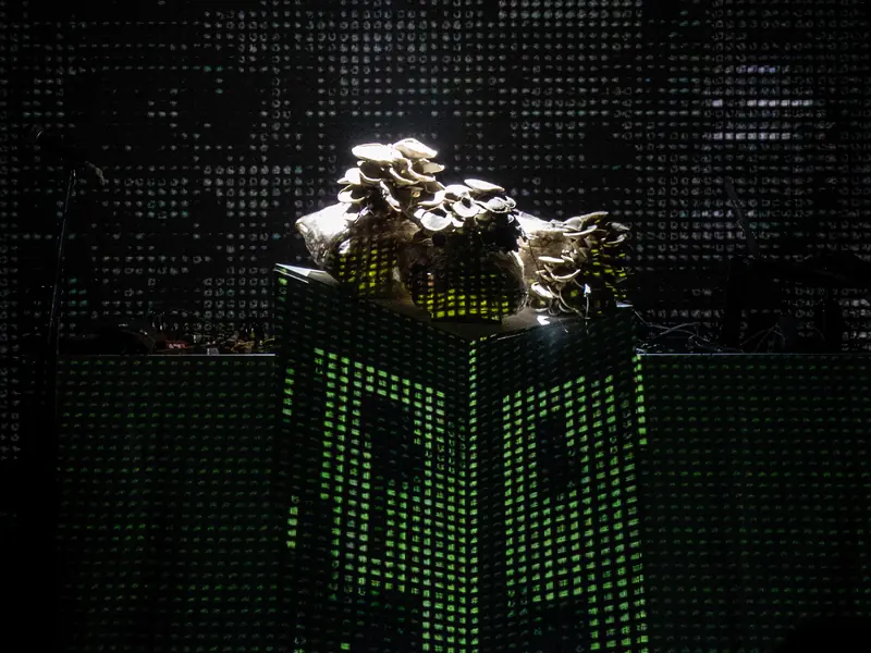 El cultivo de hongos sobre el pedestal iluminado, contra una visual verde de puntos como una pantalla de datos