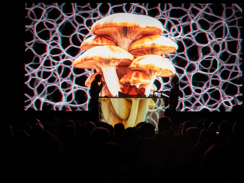 Un racimo de setas anaranjadas gigantes proyectado sobre una red celular, con la mesa iluminada y el público en silueta