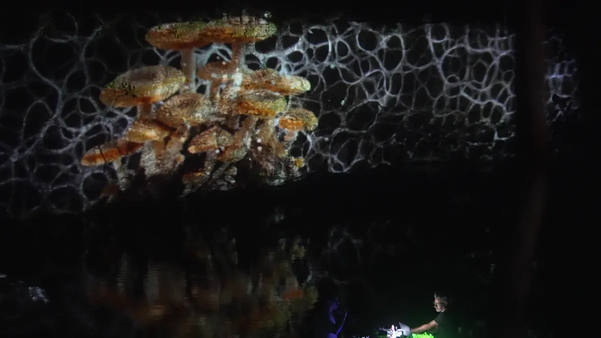 Proyección sobre la pared de piedra del Zenote de Tulum, reflejada en el agua